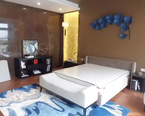 Capitaland - Jinshazhou Villa Room